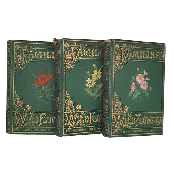 Familiar Wild Flowers by F. Edward Hulme, First-Third Series - 3 Books
