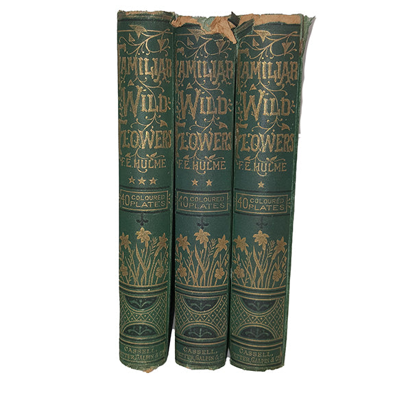 Familiar Wild Flowers by F. Edward Hulme, First-Third Series - 3 Books