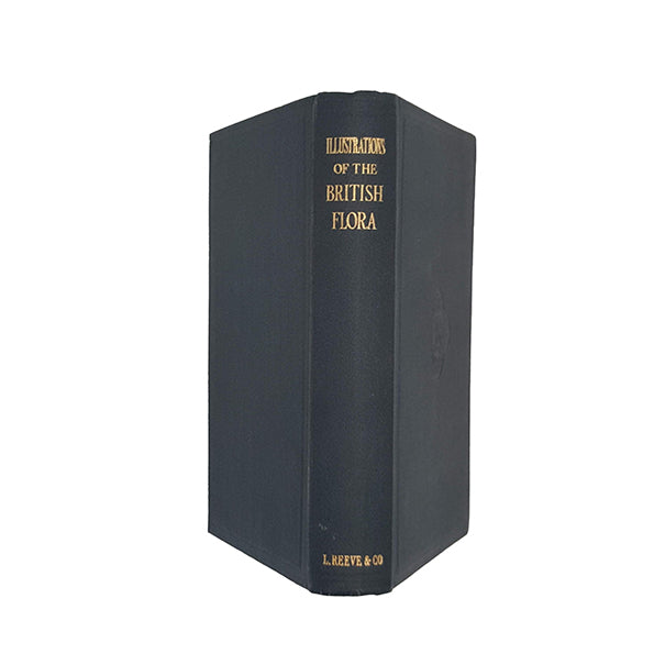 British Flora by W. H. Fitch and W. G. Smith - Reeve, 1949