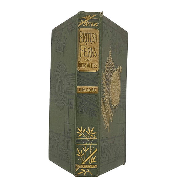 British Ferns and their Allies by T. Moore - Routledge 1881