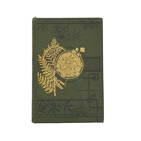 British Ferns and their Allies by T. Moore - Routledge 1881