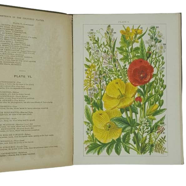 Our Country's Flowers by W. J Gordon - Simpkin Marshall