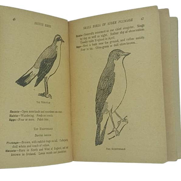 British Birds and How to Name Them by Colonel J. S. F. Mackenzie - Holden &amp; Hardingham