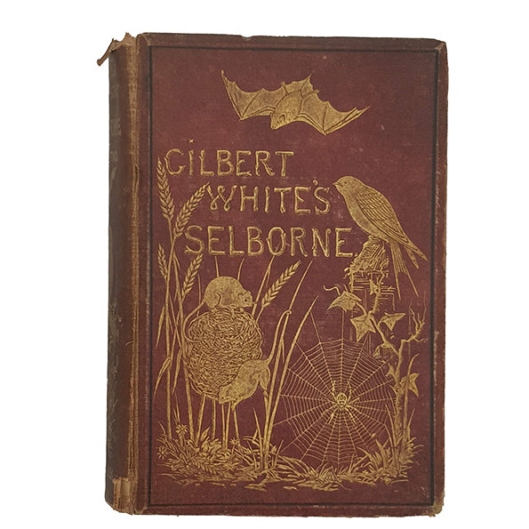 The Natural History of Selborne by Gilbert White - Bickers and Son, 1876