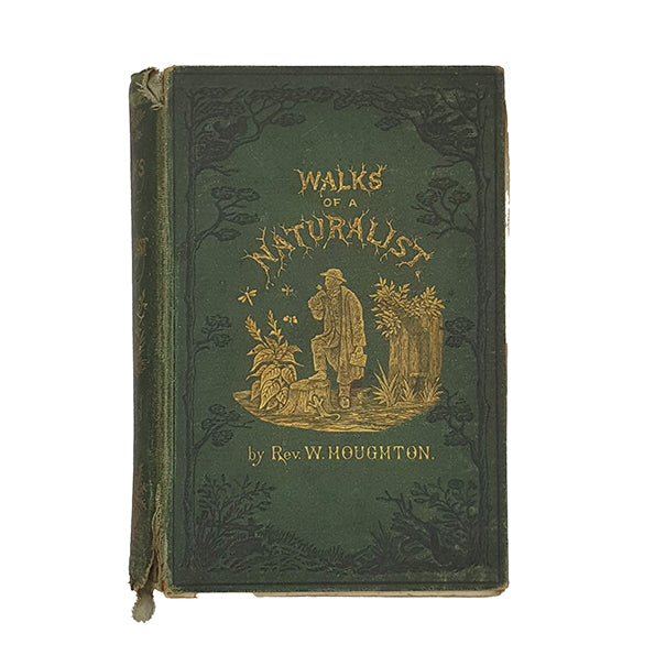 Walks of a Naturalist by Rev. W. Houghton - Groombridge