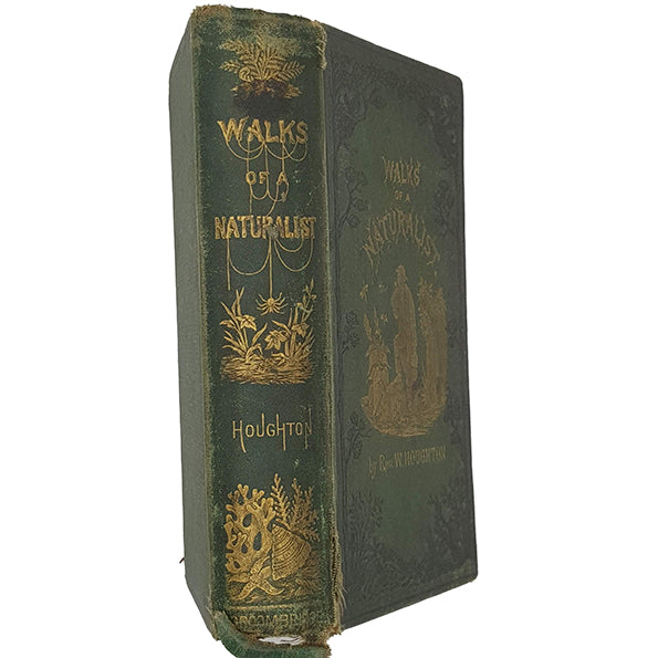 Walks of a Naturalist by Rev. W. Houghton - Groombridge
