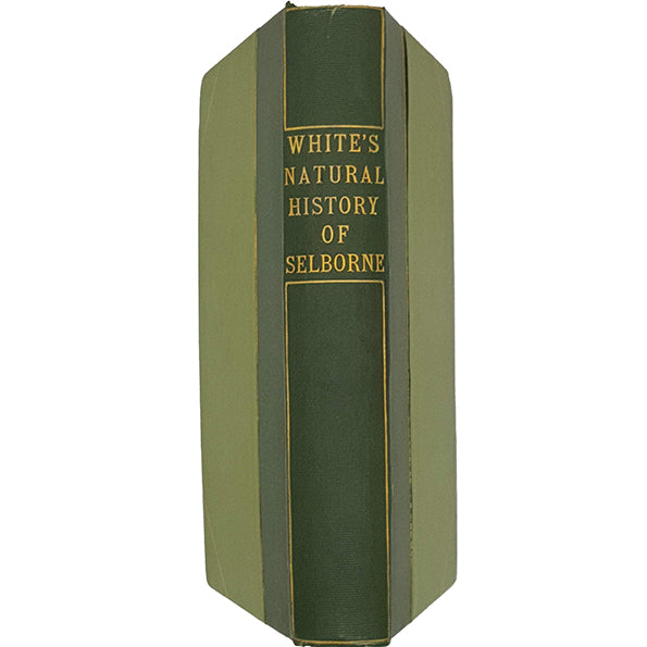 White's Natural History of Selborne - Walter Scott 1913