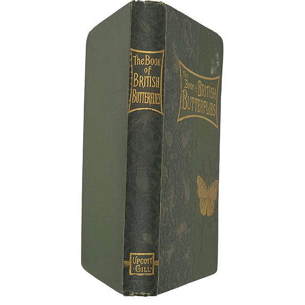 The Book of British Butterflies by W. J. Lucas - L. Upcott Gill 1893