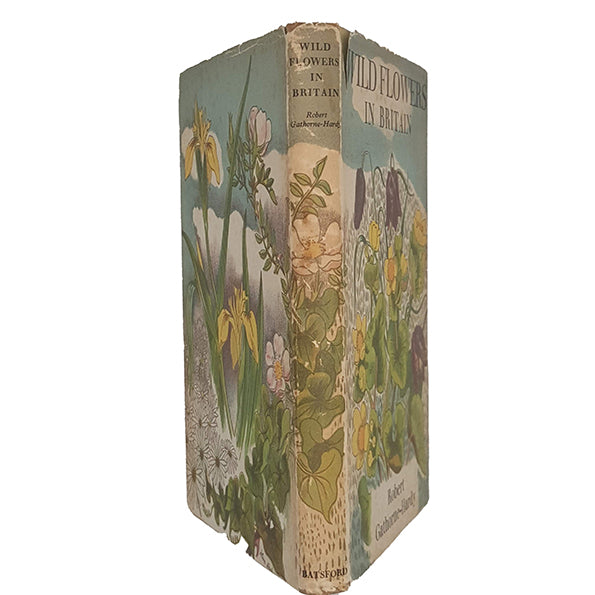 Wild Flowers in Britain by Robert Gawthorne-Hardy