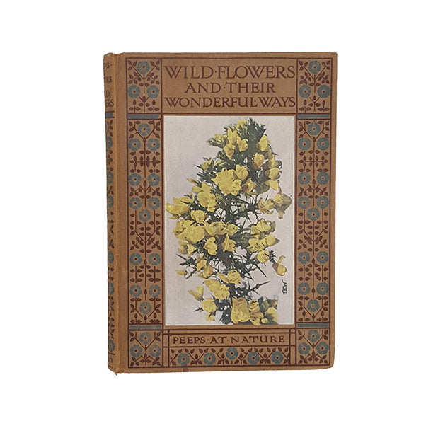 Wild Flowers And Their Wonderful Ways by Charles Hall - Black, 1916