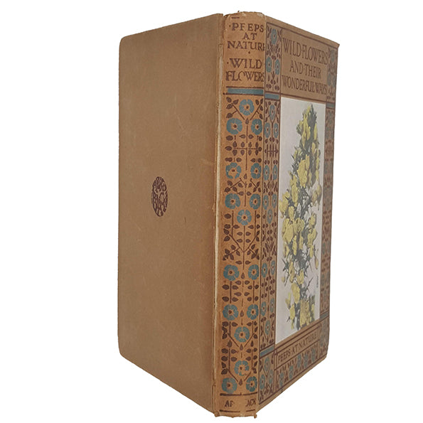 Wild Flowers And Their Wonderful Ways by Charles Hall - Black, 1916
