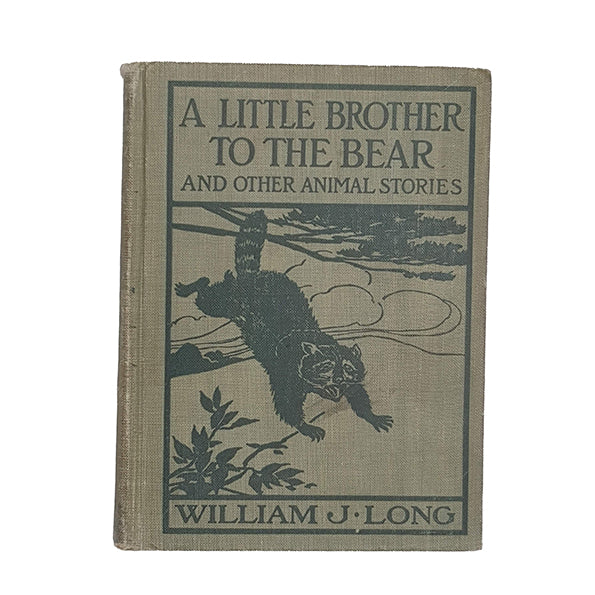 A Little Brother to the Bear by William J. Long - Ginn, 1904