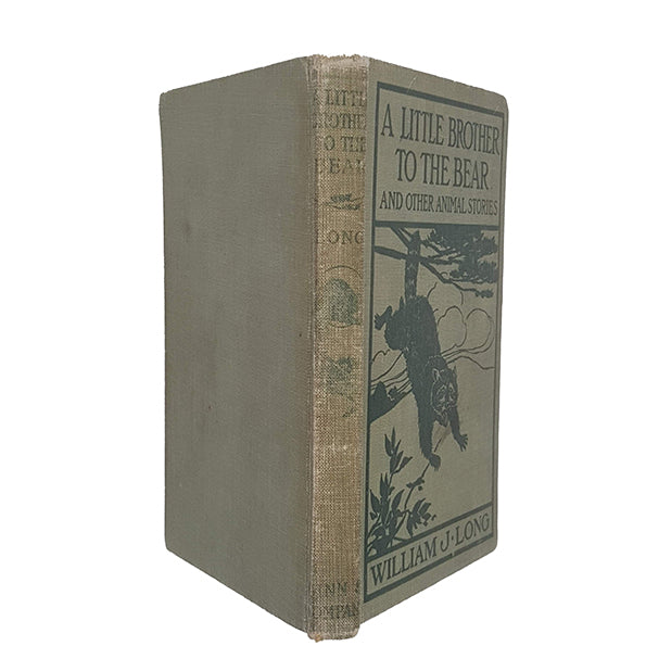 A Little Brother to the Bear by William J. Long - Ginn, 1904