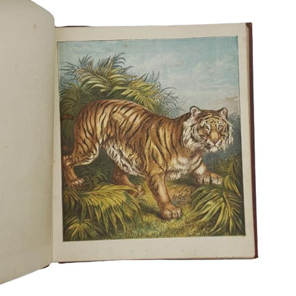 Aunt Louisa's Zoological Gardens - Frederick Warne
