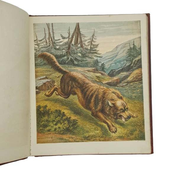Aunt Louisa's Zoological Gardens - Frederick Warne