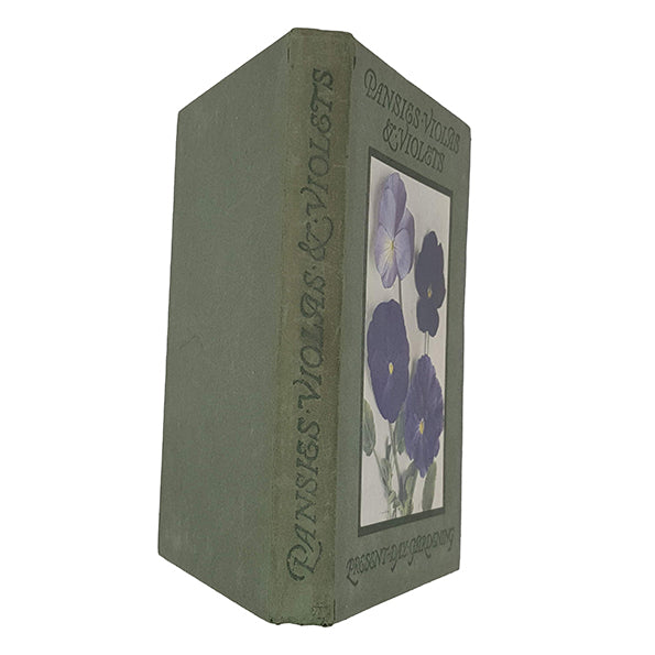 Pansies, Violas and Violets By William Cuthbertson - T. C. &amp; E. C. Jack