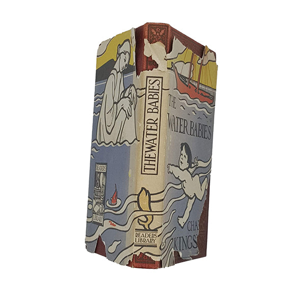 The Water Babies by Charles Kingsley - Reader's Library