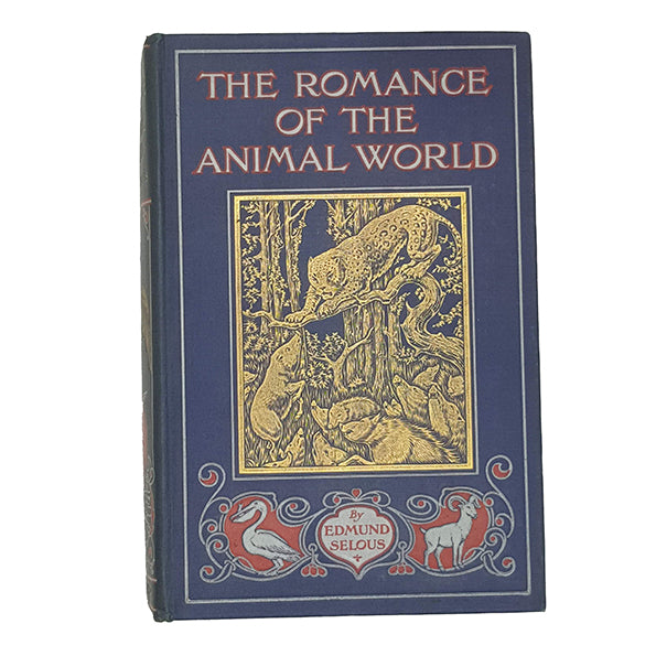 The Romance of the Animal World by Edmund Selous - Seeley 1907