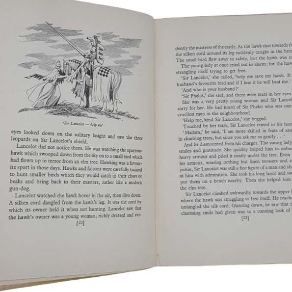 King Arthur and his Knights retold for younger readers - Spring Books