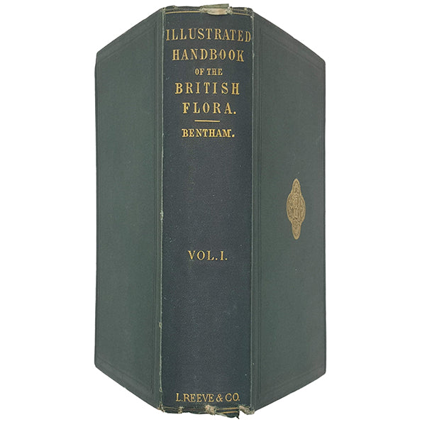 Illustrated Handbook of the British Flora Vol 1 by George Bentham - L. Reeve &amp; Co. 1865