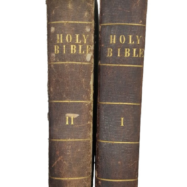 Holy Bible Volume I and II - Cassell, Petter and Galpin