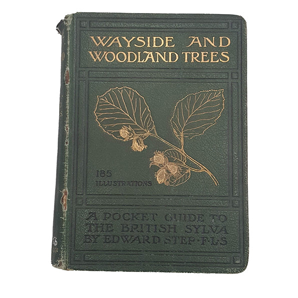 Wayside &amp; Woodland Trees by Edward Step, 1904