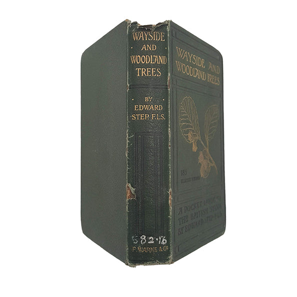 Wayside &amp; Woodland Trees by Edward Step, 1904