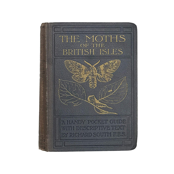 The Moths of the British Isles - Warne