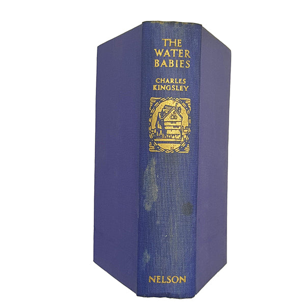 The Water Babies by Charles Kingsley - Nelson