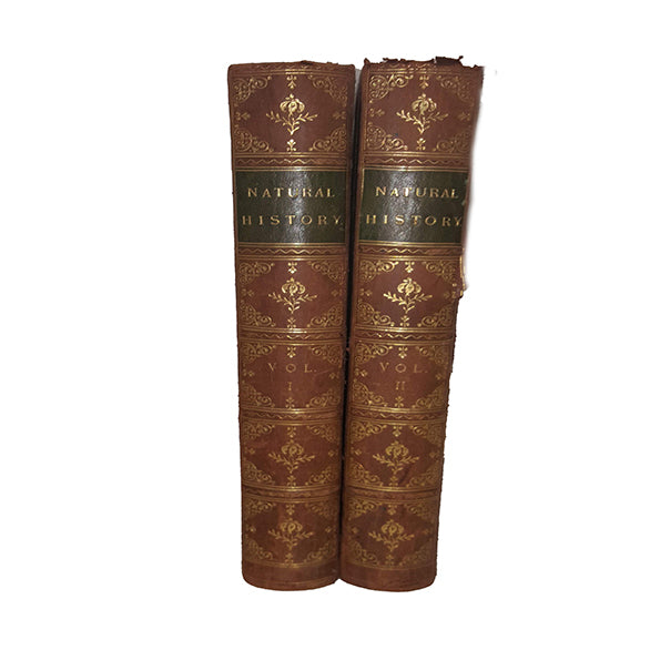 The Museum of Natural History by Sir John Richardson (2 Books)