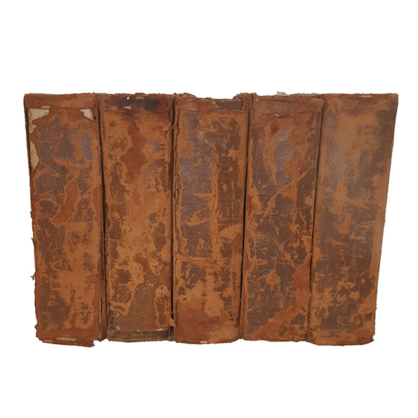 Wild Flowers As They Grow by H. Essenhigh Corke and G. Clarke Nuttall - Cassell (4 Volumes)