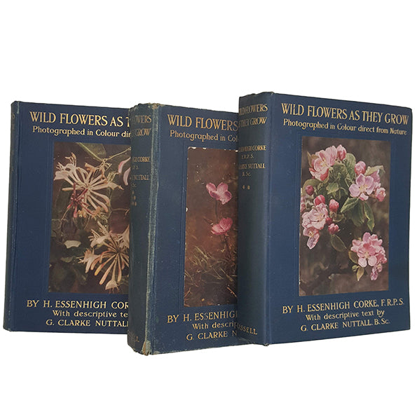 Wild Flowers As They Grow by H. Essenhigh Corke and G. Clarke Nuttall - Cassell, 1911 (3 Volumes)