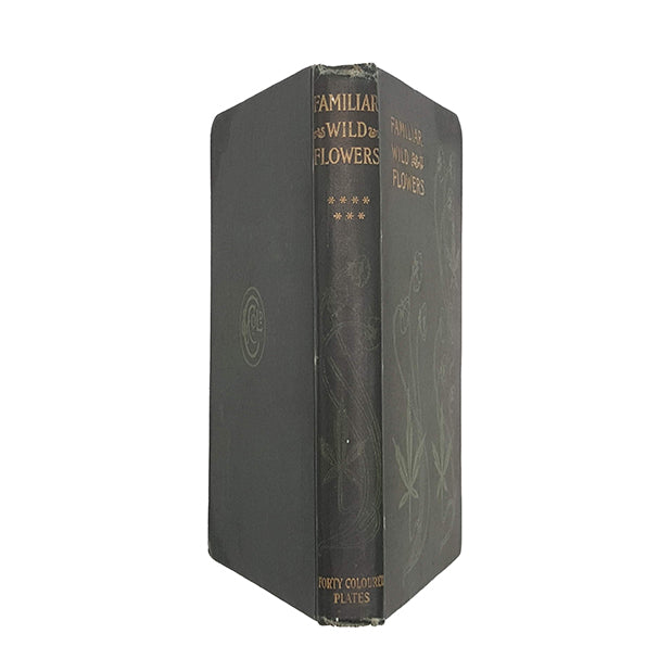 Familiar Wild Flowers Seventh Series by F. Edward Hulme - Cassell, 1902