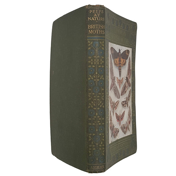 Common British Moths by A. M. Stewart, 1913