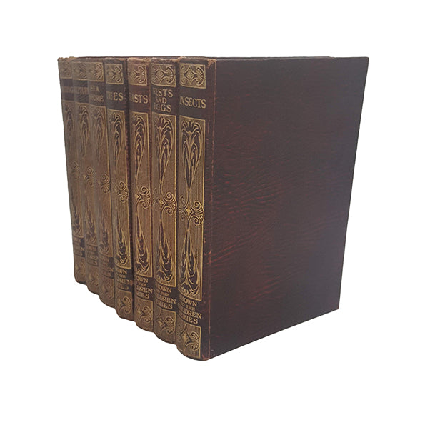 The "Shown to the Children" Series by Janet Harvey Kelman (7 Books)