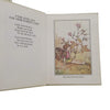 Cicely Mary Barker's Flower Fairies 5 Book Collection