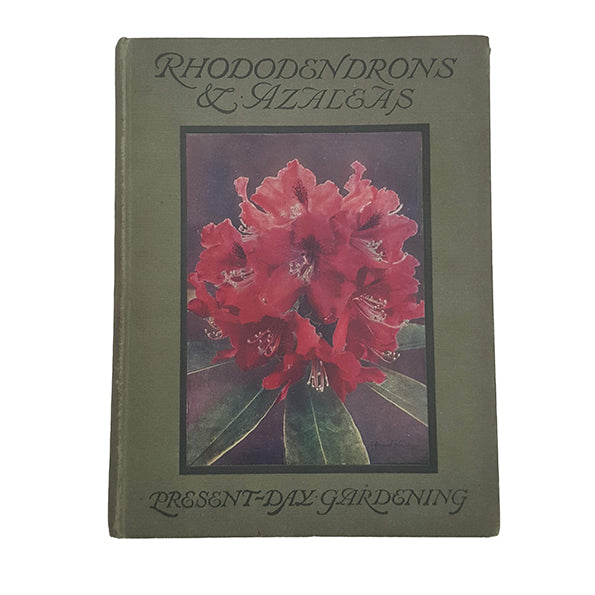Rhododendrons And Azaleas by William Watson - T. C. and E. C. Jack