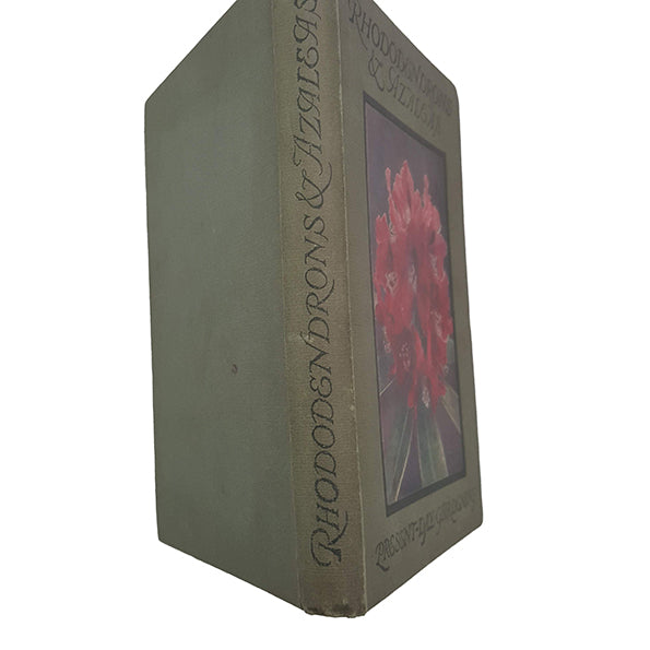 Rhododendrons And Azaleas by William Watson - T. C. and E. C. Jack