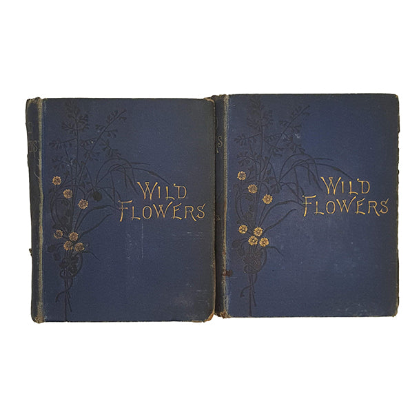 Wild Flowers, First &amp; Second Series by Anne Pratt (2 Books)