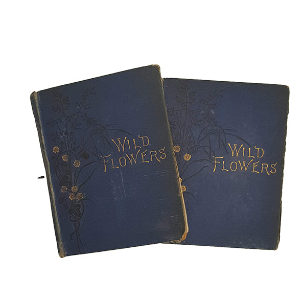 Wild Flowers, First &amp; Second Series by Anne Pratt (2 Books)