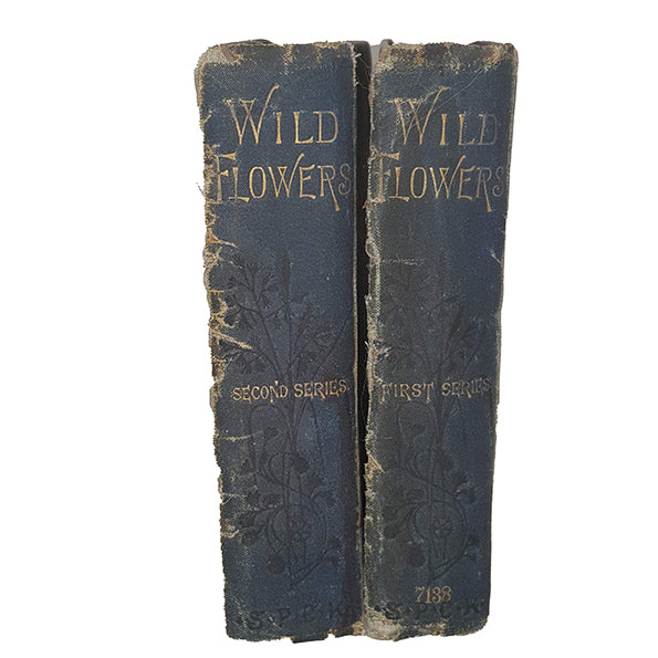 Wild Flowers, First &amp; Second Series by Anne Pratt (2 Books)