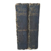 Wild Flowers, First & Second Series by Anne Pratt (2 Books)