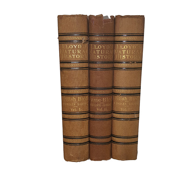 Lloyd's Natural History: British Birds Vols. I - III, 1896 (3 Books)