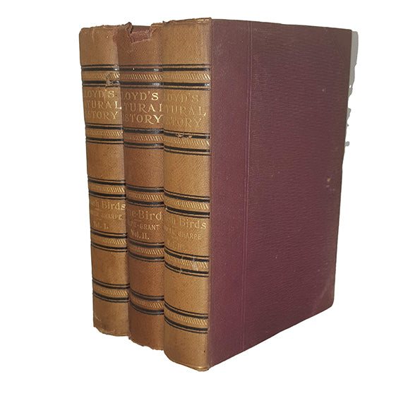 Lloyd's Natural History: British Birds Vols. I - III, 1896 (3 Books)