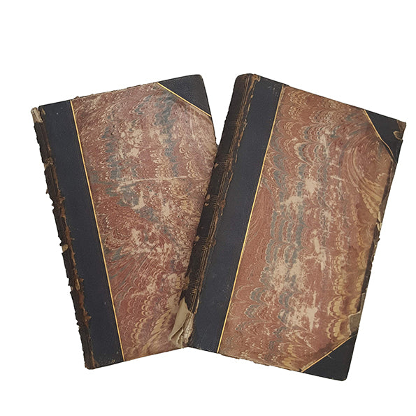 Charles Dickens' Little Dorrit and Martin Chuzzlewit 1858-9 (2 Books)