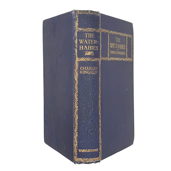 Charles Kingsley's The Water Babies - Ward Lock &amp; Co.
