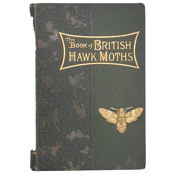 The Book of British Hawk Moths by W. J. Lucas, 1895
