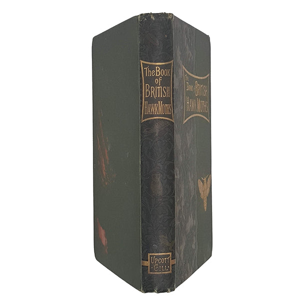 The Book of British Hawk Moths by W. J. Lucas, 1895