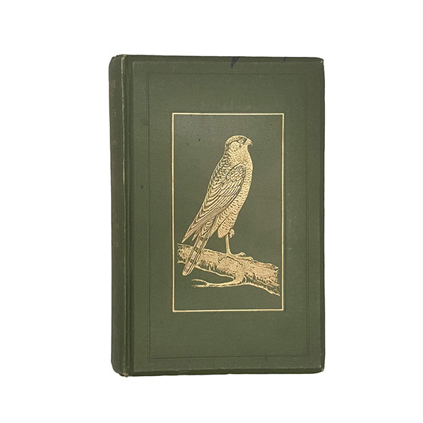 British Birds in their Haunts by Rev. Johns - Routledge, 1938