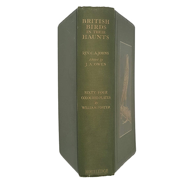 British Birds in their Haunts by Rev. Johns - Routledge, 1938